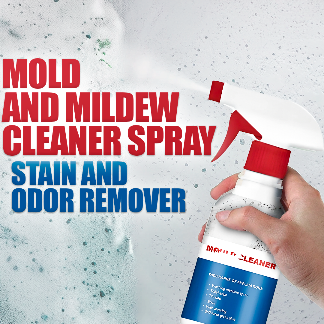 Mildew Cleaner Foam – Anti-Mold Solution