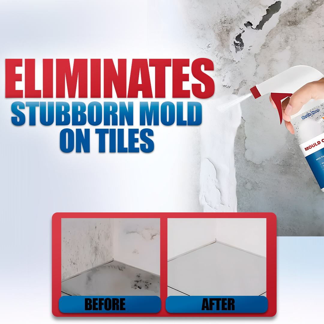 Mildew Cleaner Foam – Anti-Mold Solution