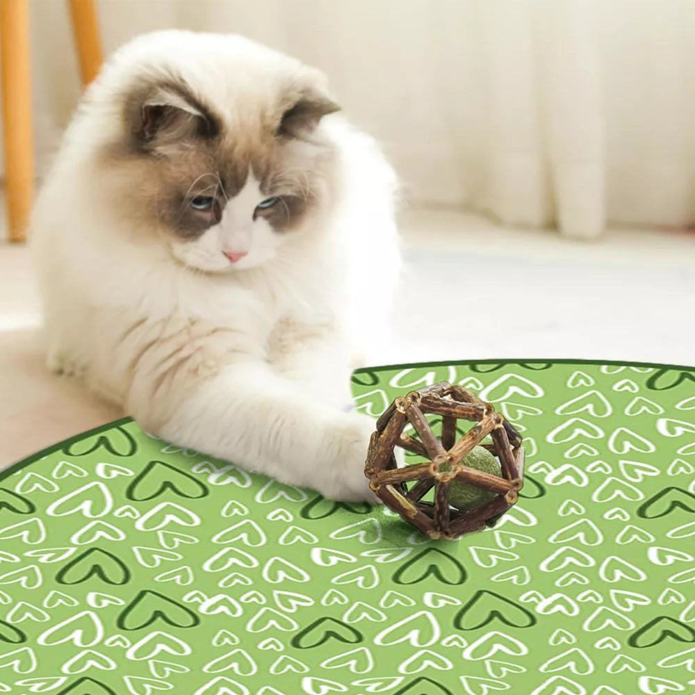 2 in 1 Simulated Interactive Hunting Cat Toy