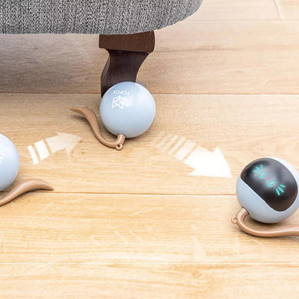 2 in 1 Simulated Interactive Hunting Cat Toy