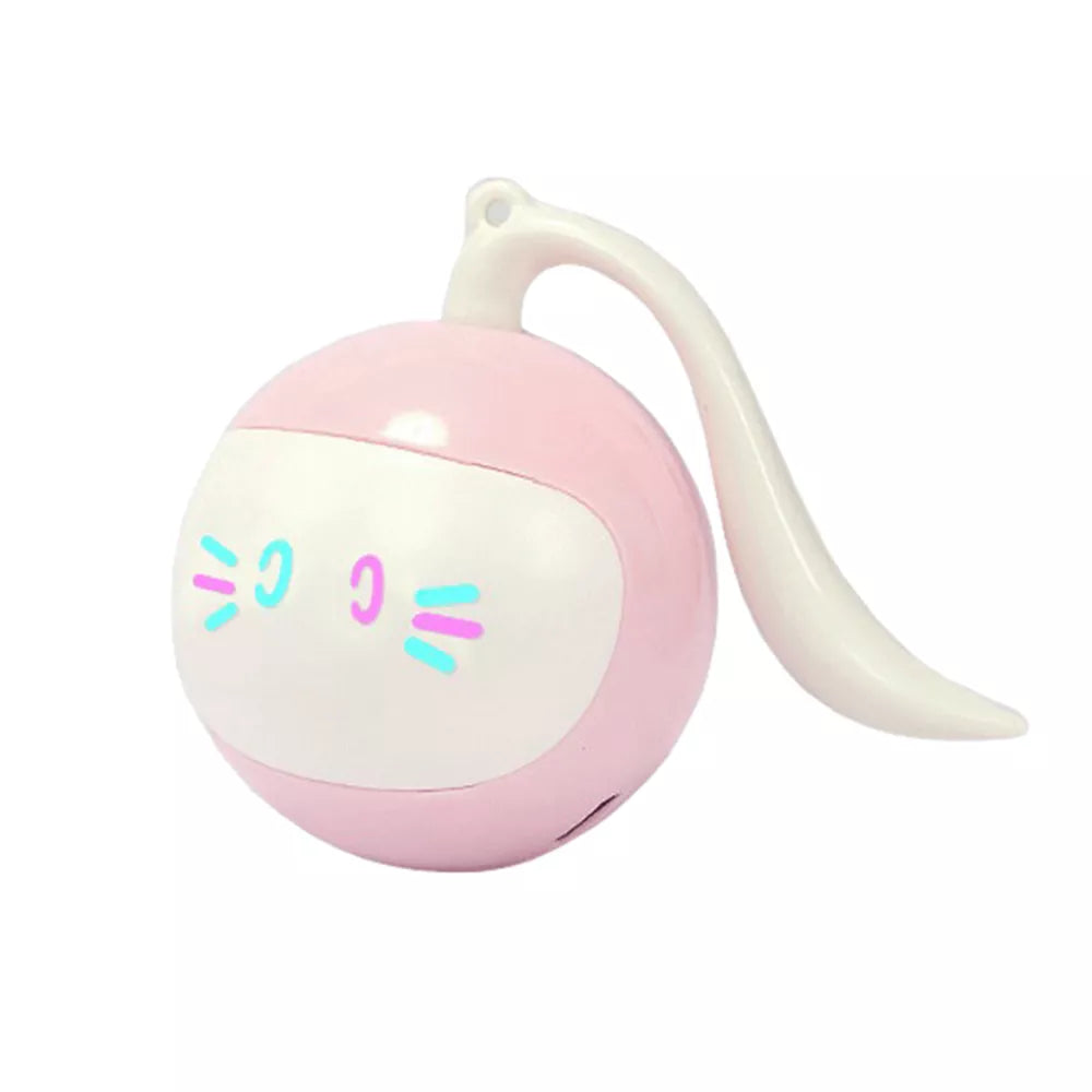 2 in 1 Simulated Interactive Hunting Cat Toy