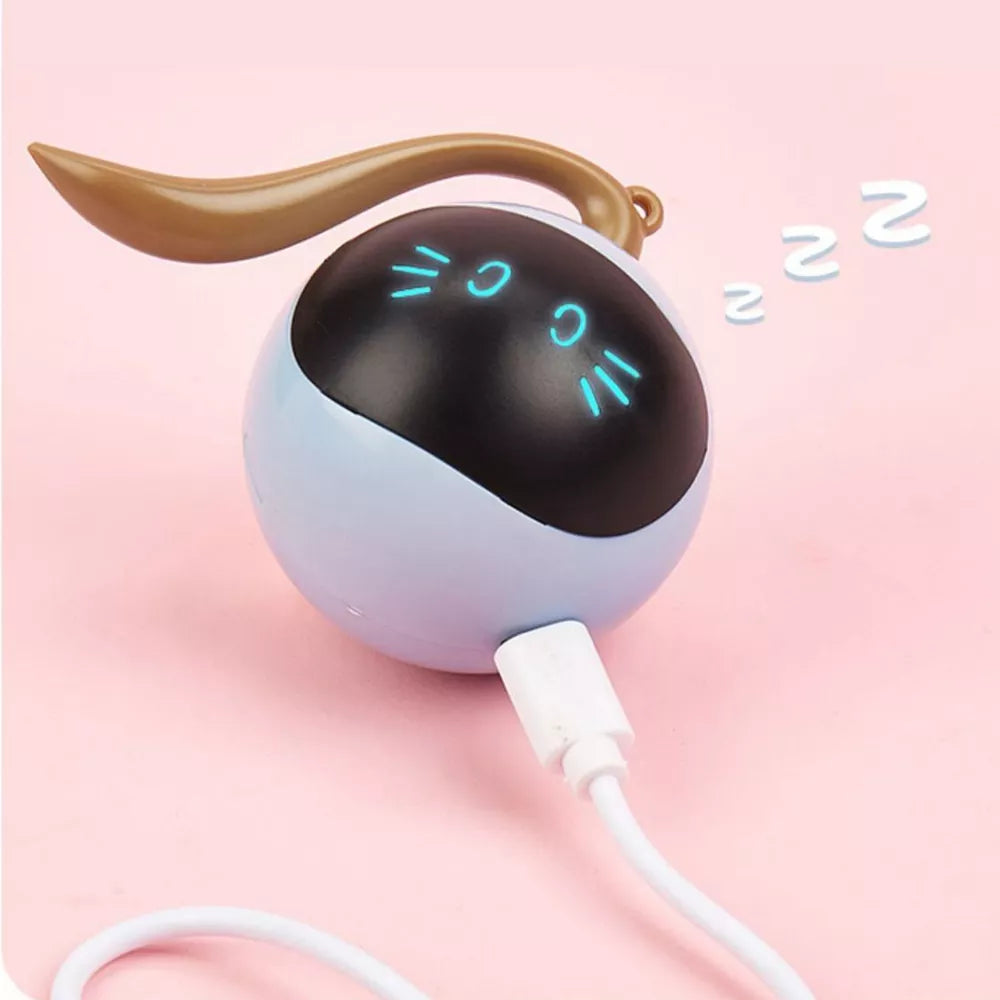 2 in 1 Simulated Interactive Hunting Cat Toy