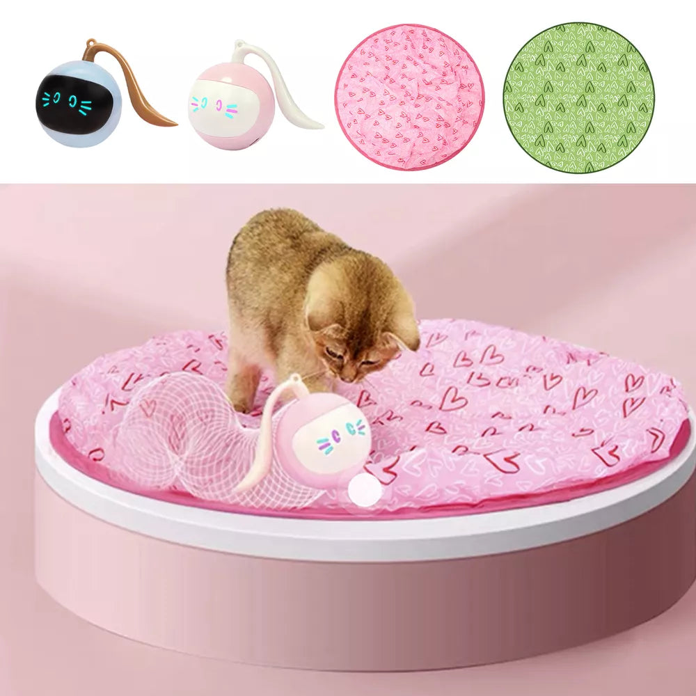 2 in 1 Simulated Interactive Hunting Cat Toy