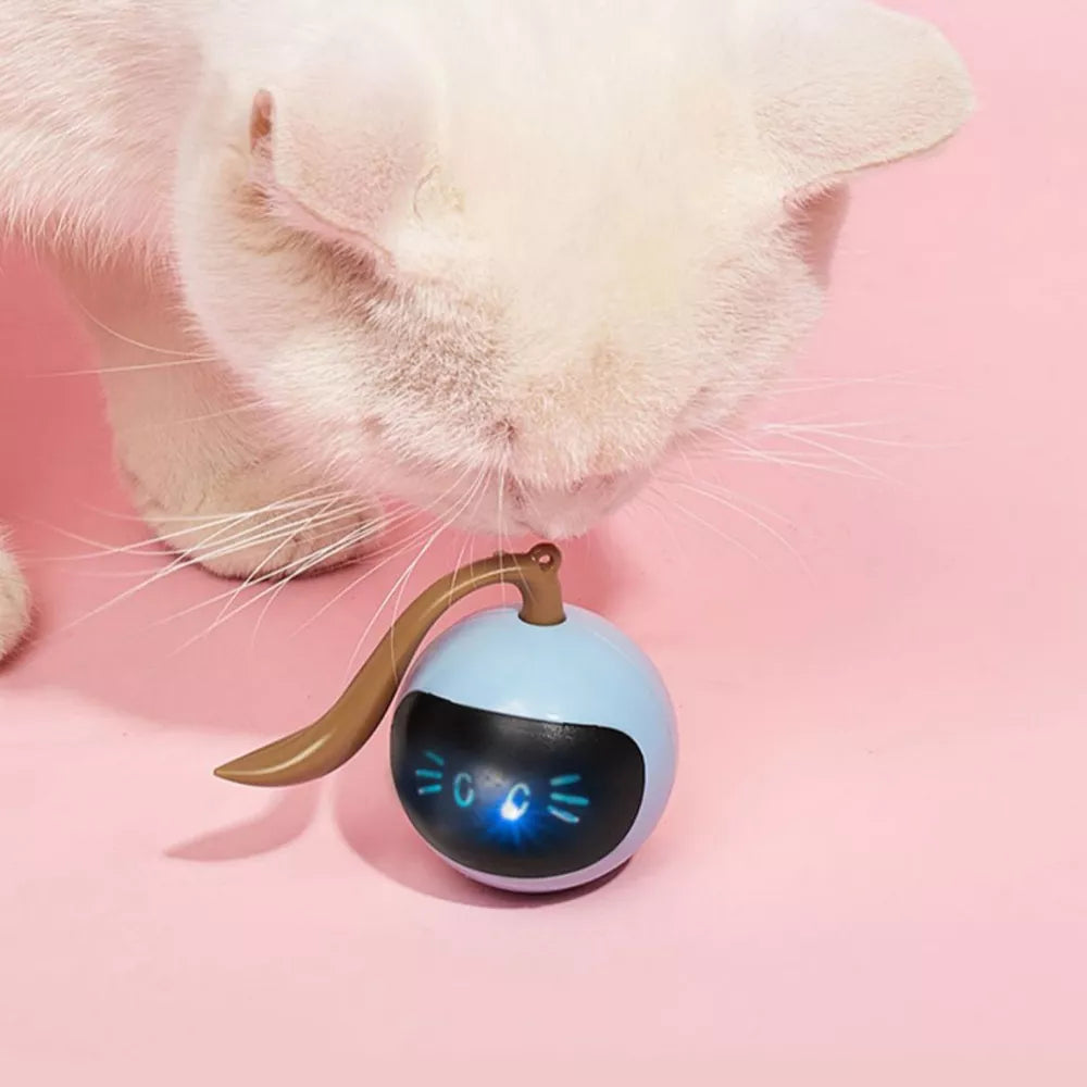 2 in 1 Simulated Interactive Hunting Cat Toy