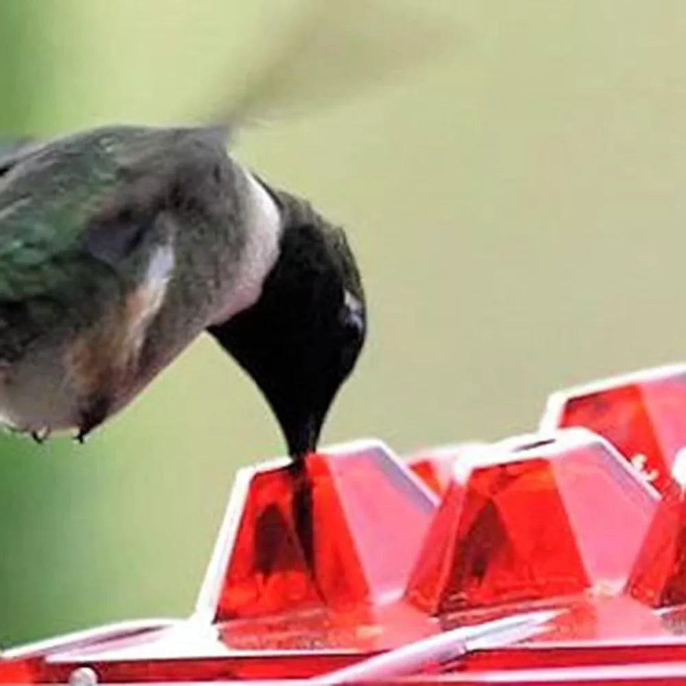 Mary’s NJ-1 Hummingbird Feeder – 30 Port Easy-Clean Hanging Feeder