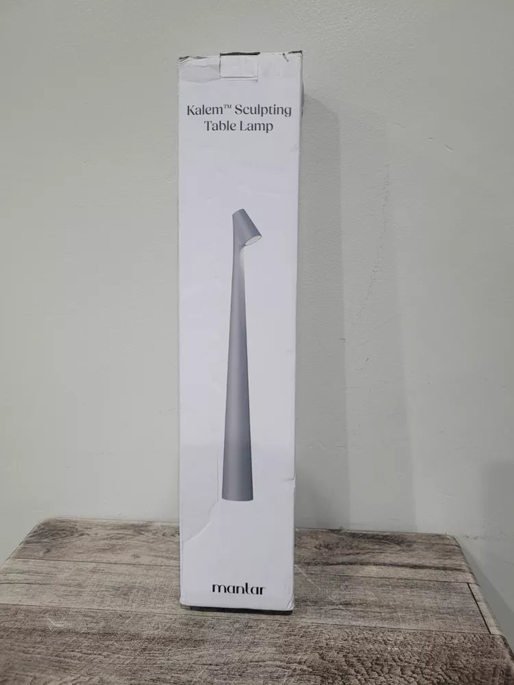 Sculpting Table Lamp