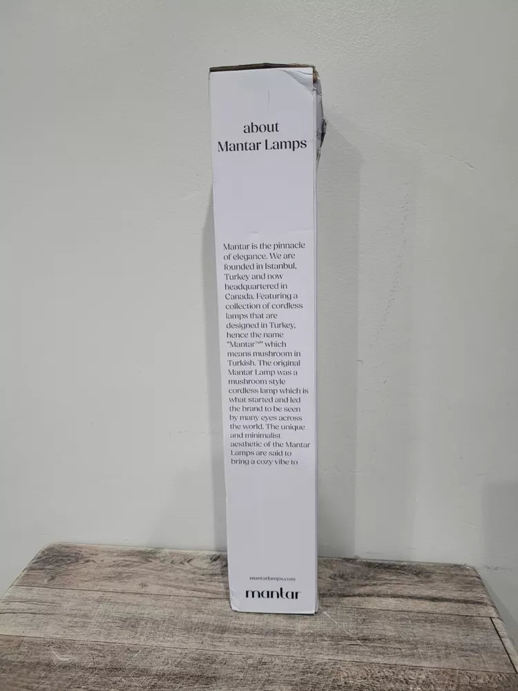 Sculpting Table Lamp