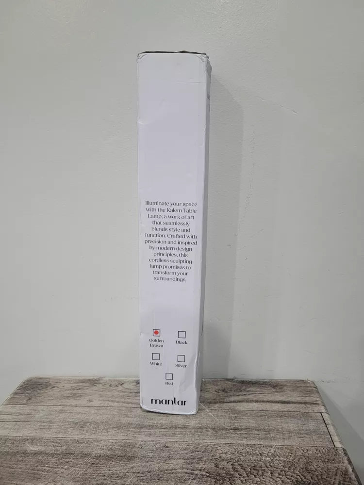 Sculpting Table Lamp