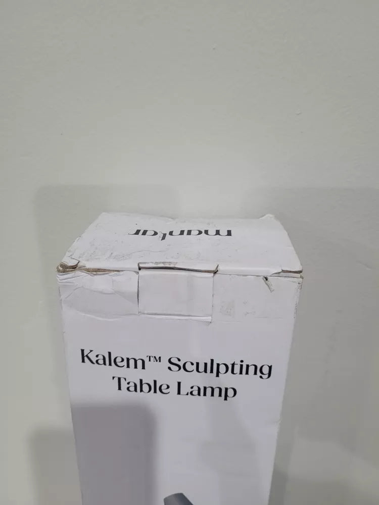 Sculpting Table Lamp