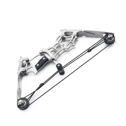 Cosnail Mini Bow and Arrow Set | Mini Stainless Steel Metal Compound Bow and...