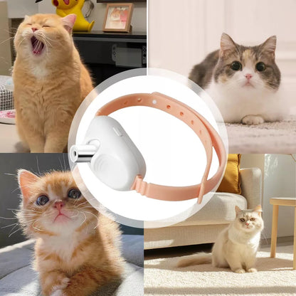 Laser Light Cat Collar