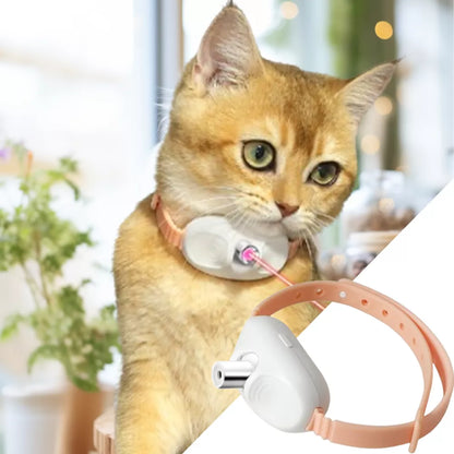 Laser Light Cat Collar