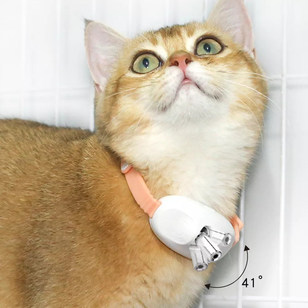 Laser Light Cat Collar