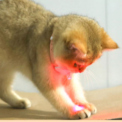 Laser Light Cat Collar