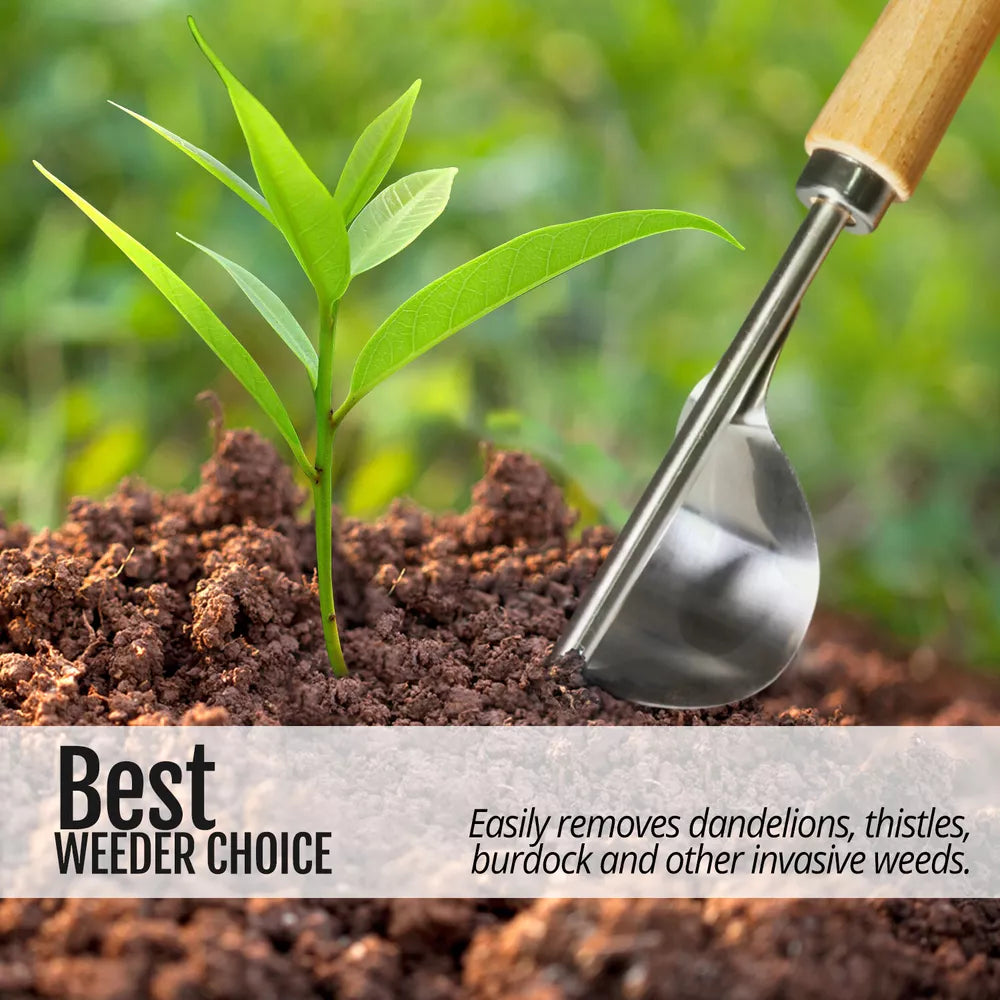 Hand Weeder Tool