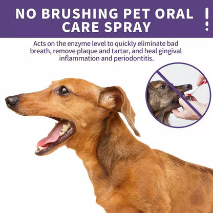 Teeth Cleaning Spray For Dogs & Cats