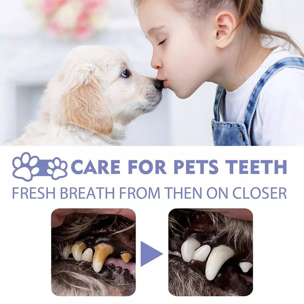 Teeth Cleaning Spray For Dogs & Cats