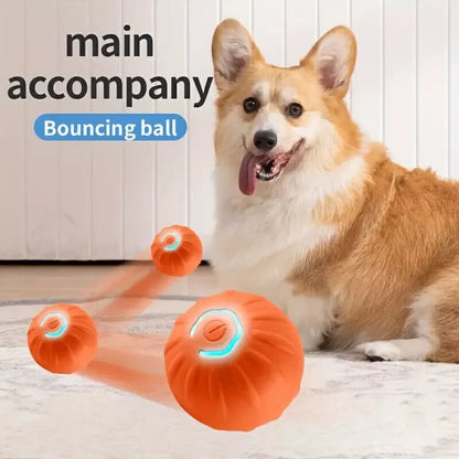 Electric Rolling Pet Toy Ball