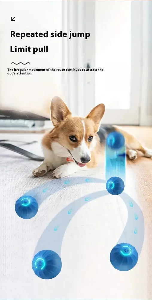 Electric Rolling Pet Toy Ball