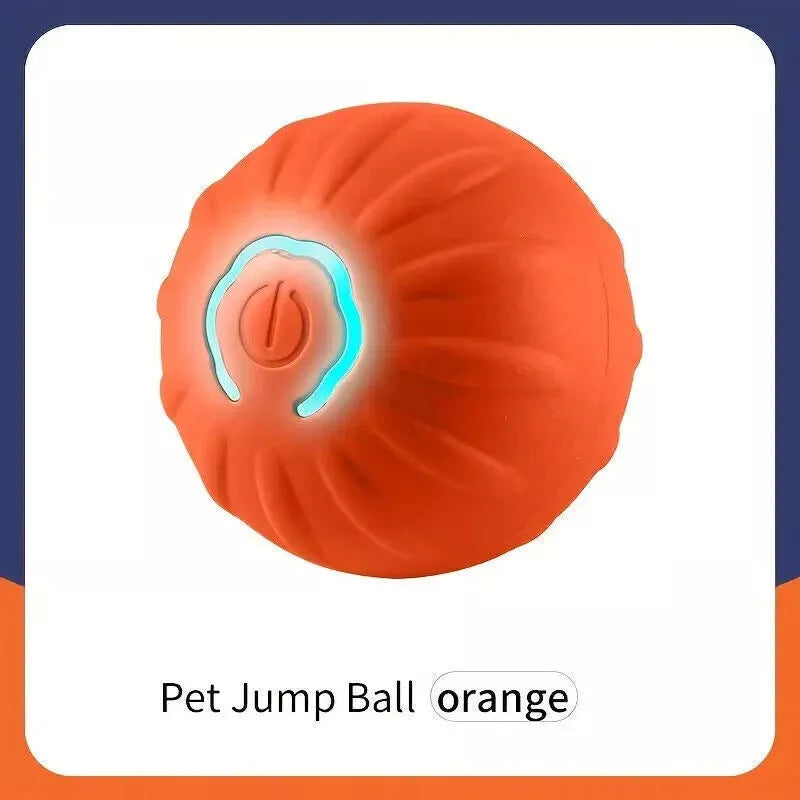 Electric Rolling Pet Toy Ball