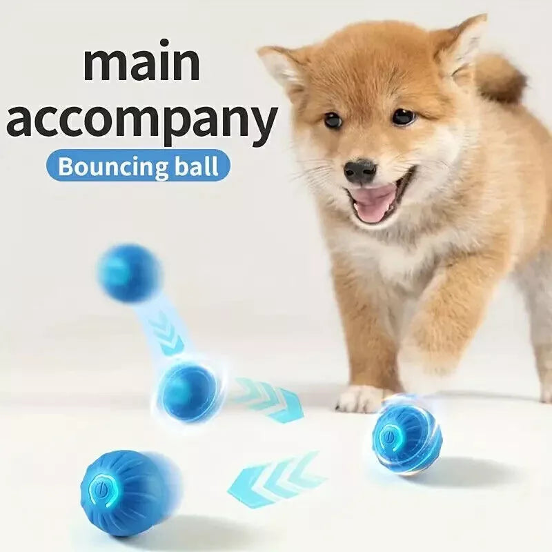 Electric Rolling Pet Toy Ball