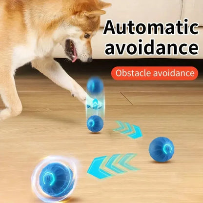 Electric Rolling Pet Toy Ball