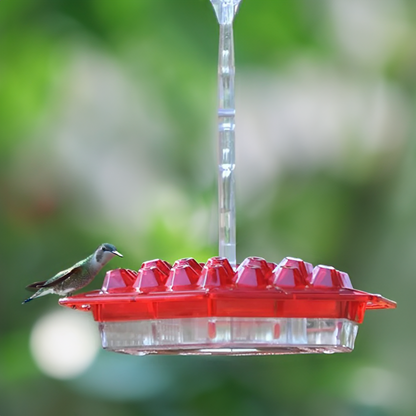 Ant Proof Hummingbird Feeder