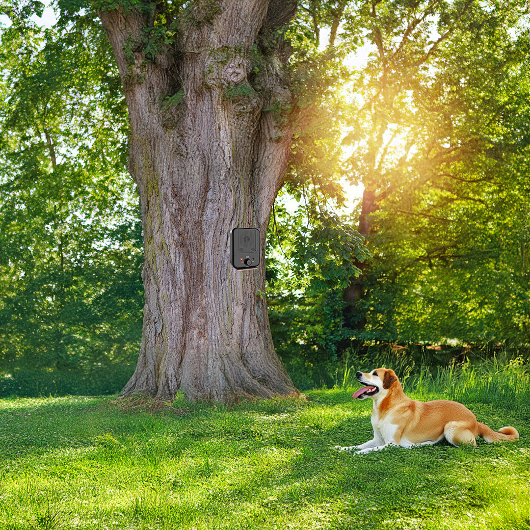 Waterproof Dog Bark Control Device