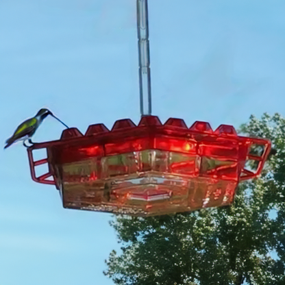 Ant Proof Hummingbird Feeder